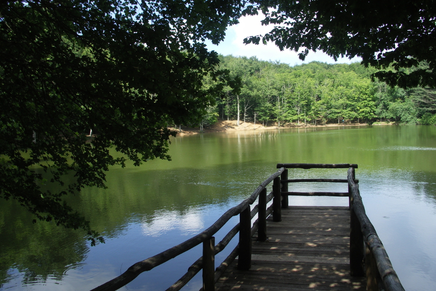 laghetto foresta umbra parco del gargano